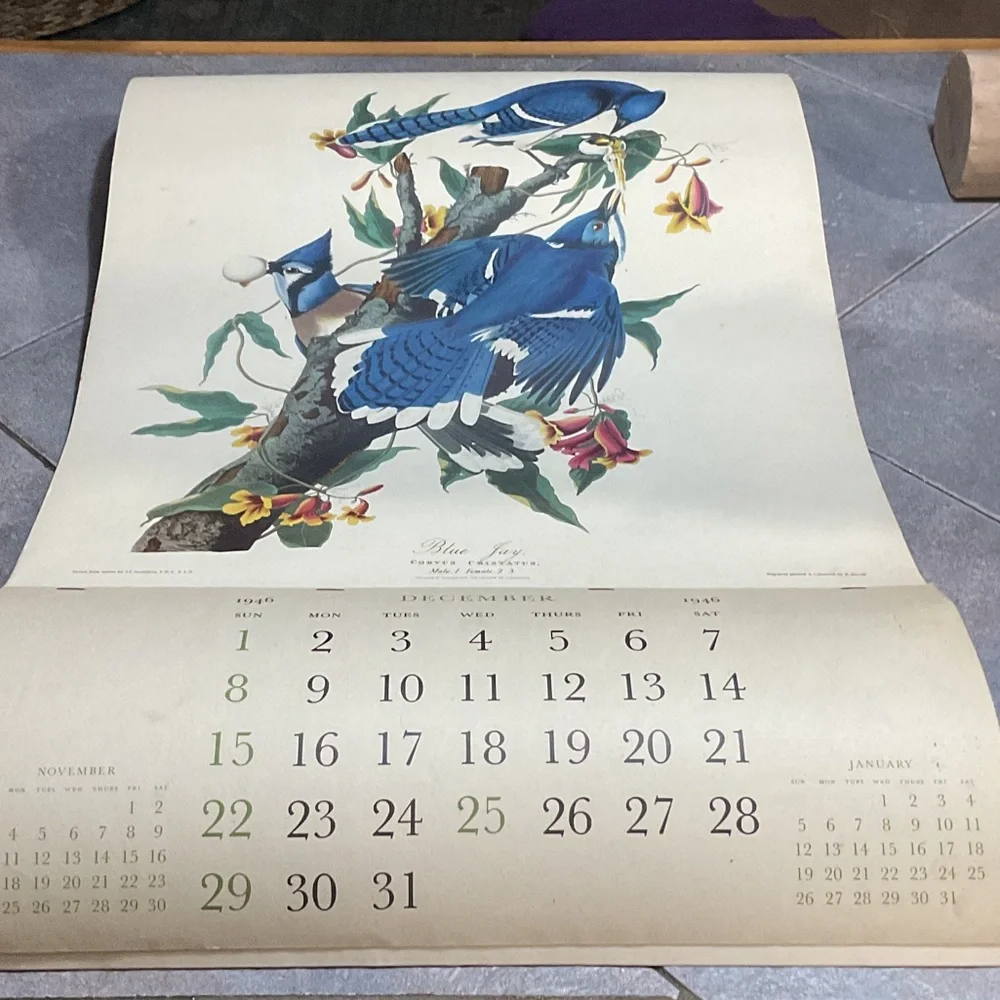 Blue and White Bird Art Calendar1946